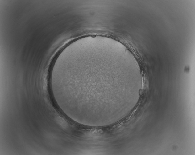 X0000116630243201001081258