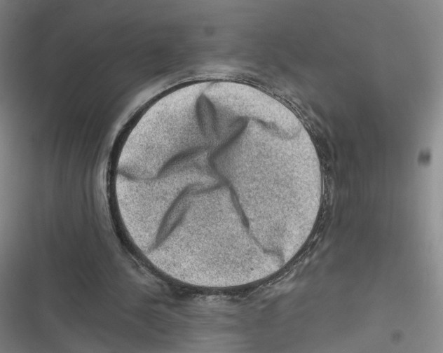 X0000116630244201001081258