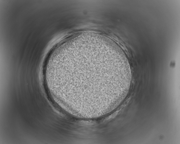 X0000116630245201001081258