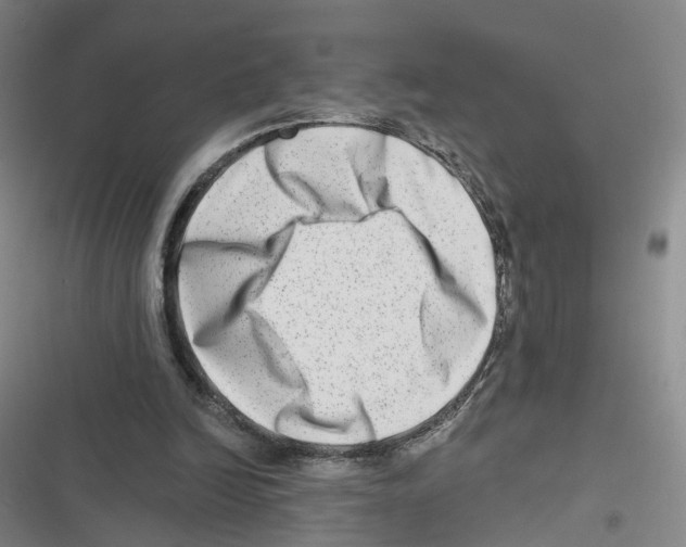 X0000116630246201001081258