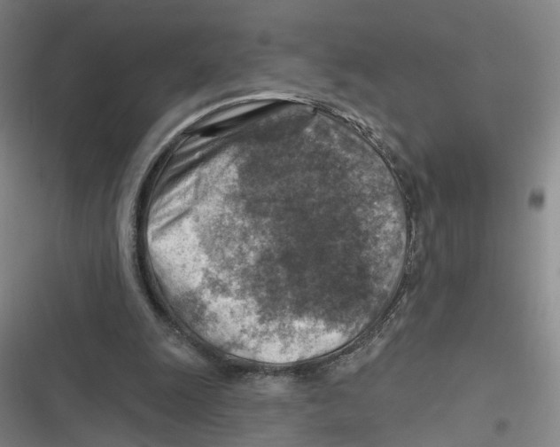 X0000116630247201001081258