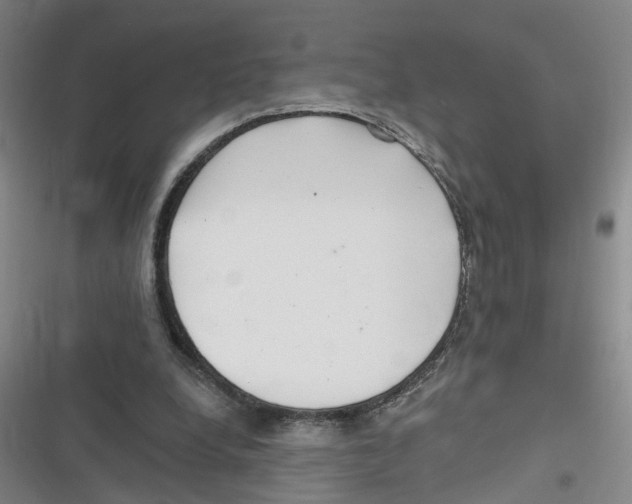 X0000116630248201001081258