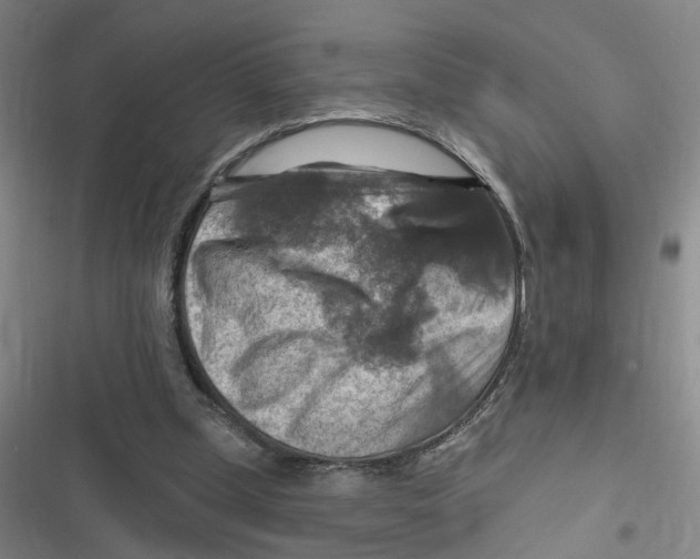 X0000116630249201001081258