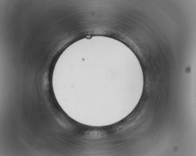 X0000116630251201001081258