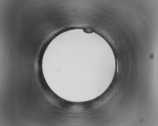 X0000116630252201001081258