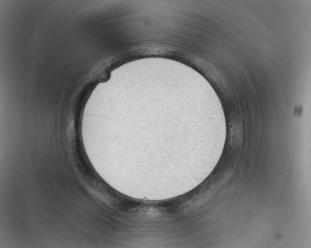 X0000116630254201001081258