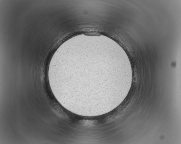 X0000116630255201001081258