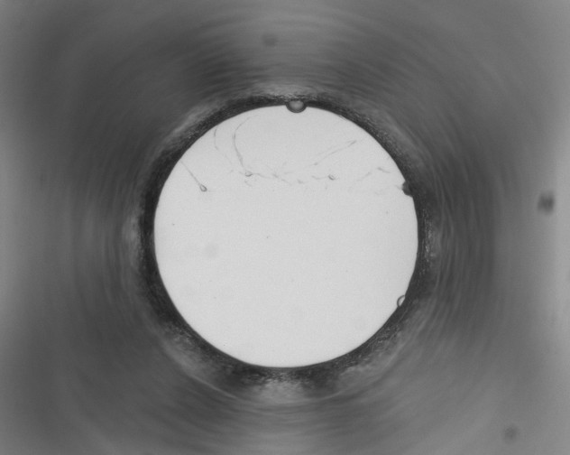 X0000116630256201001081258