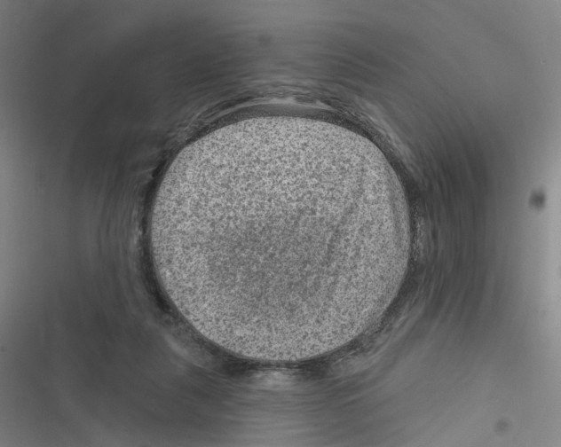 X0000116630259201001081258