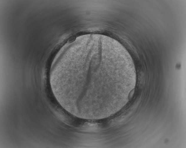 X0000116630260201001081259