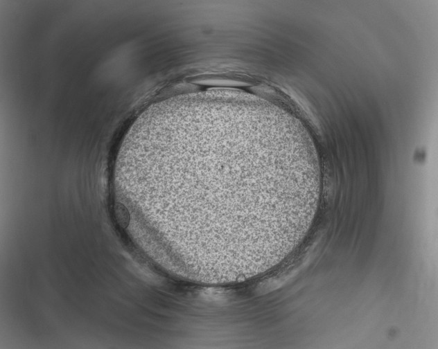 X0000116630261201001081259