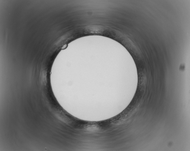 X0000116630262201001081259