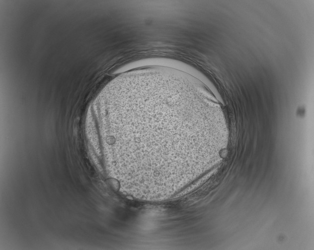 X0000116630263201001081259