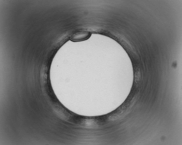 X0000116630264201001081259