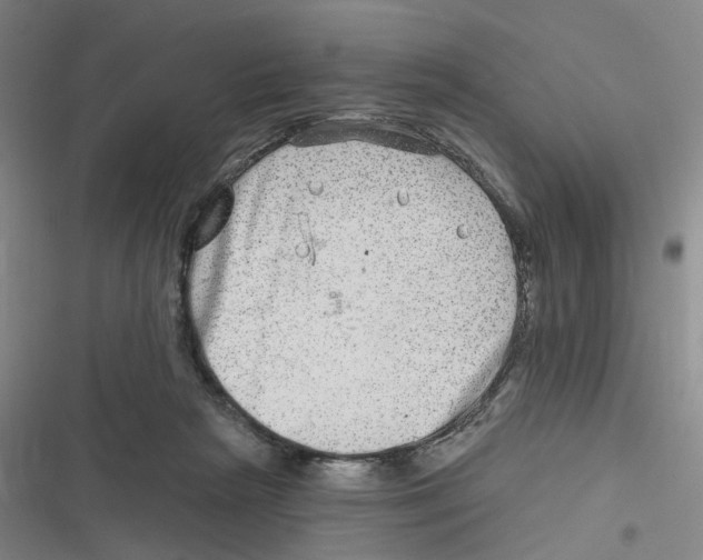 X0000116630265201001081259