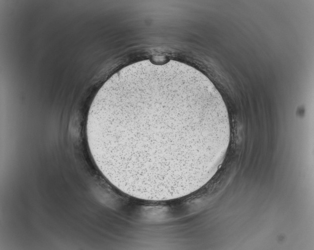 X0000116630266201001081259