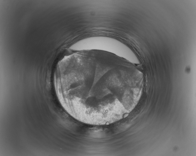 X0000116630267201001081259