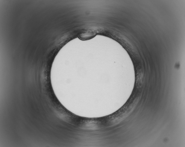X0000116630268201001081259