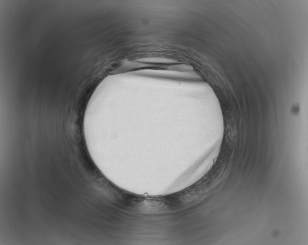 X0000116630270201001081259