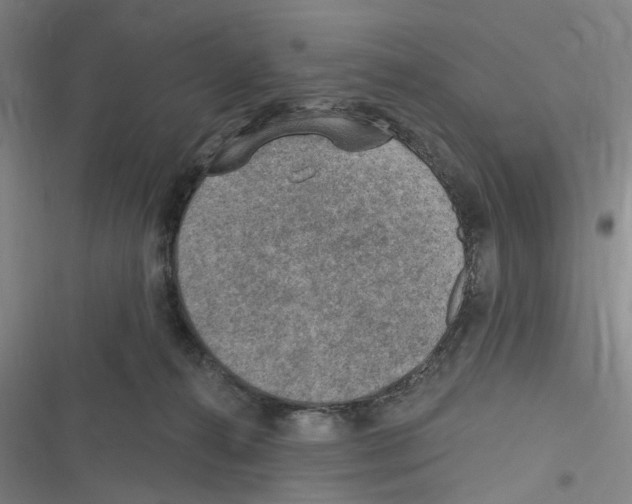 X0000116630272201001081259
