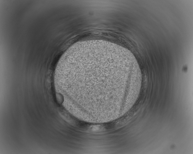 X0000116630275201001081259