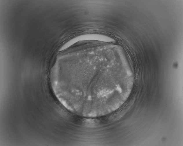 X0000116630277201001081259