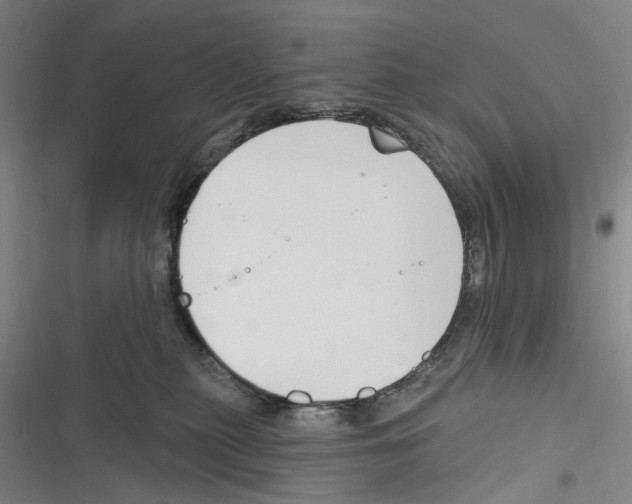 X0000116630279201001081259