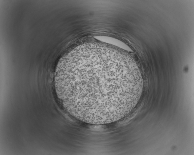 X0000116630281201001081259