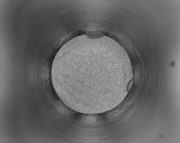 X0000116630282201001081259