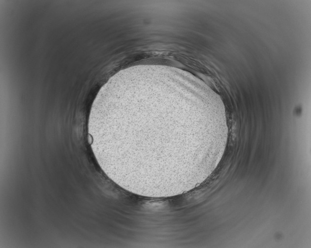 X0000116630283201001081259