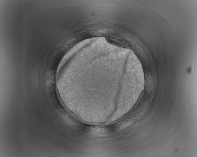 X0000116630284201001081259