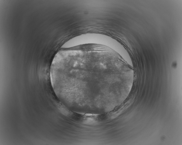 X0000116630285201001081259