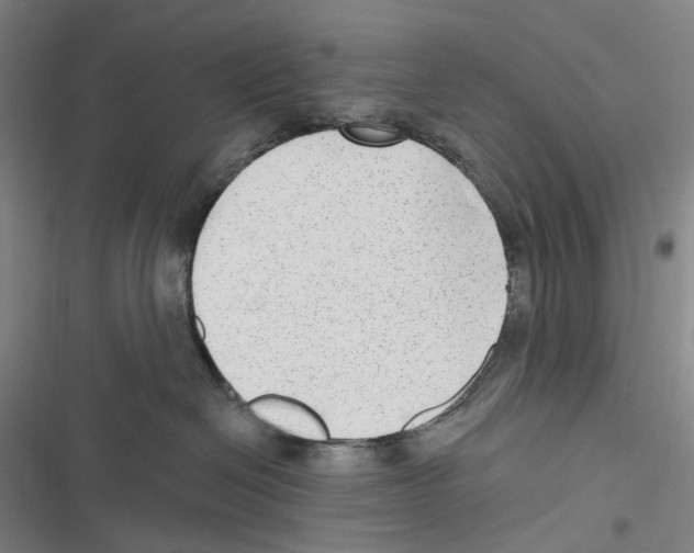 X0000116630286201001081259