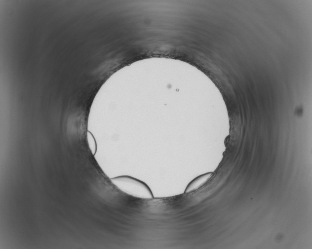 X0000116630287201001081259