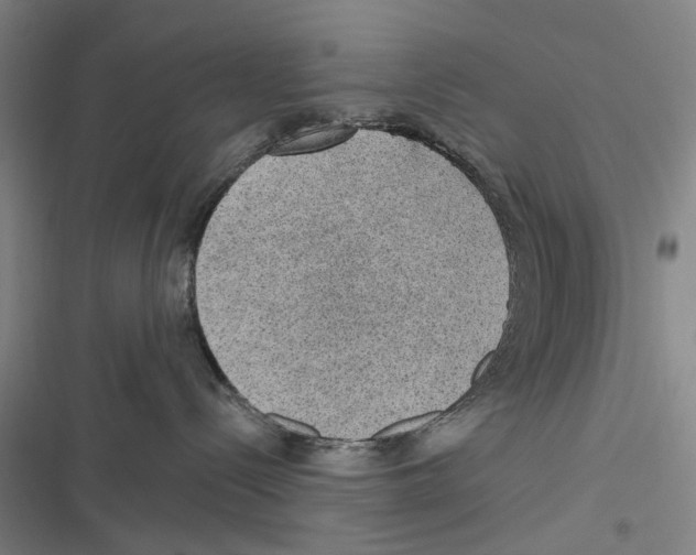X0000116630288201001081259