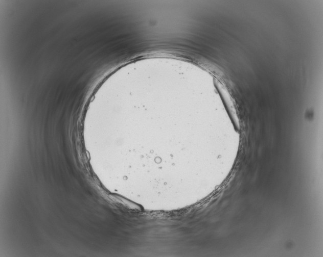 X0000116630289201001081258