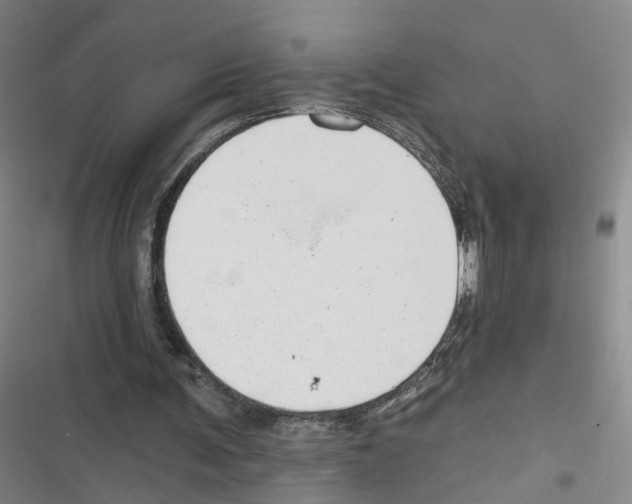 X0000116630291201001081258