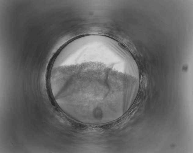 X0000116630292201001081258