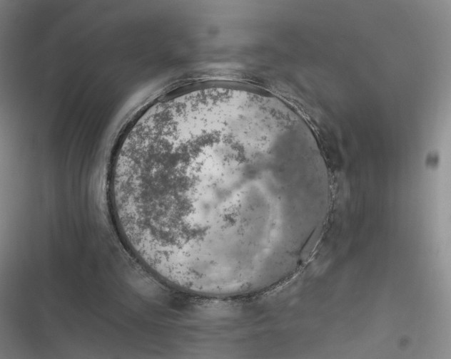 X0000116630293201001081258