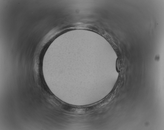 X0000116630295201001081258