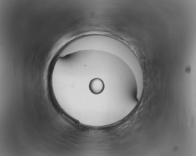 X0000116630296201001081258