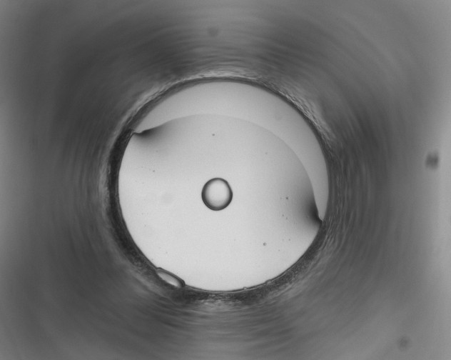 X0000116630300201001081258