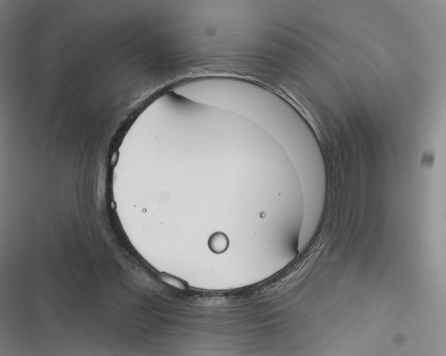 X0000116630301201001081258