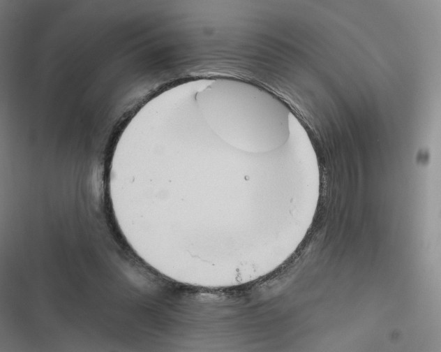 X0000116630302201001081258