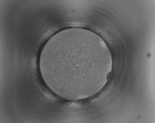X0000116630303201001081258