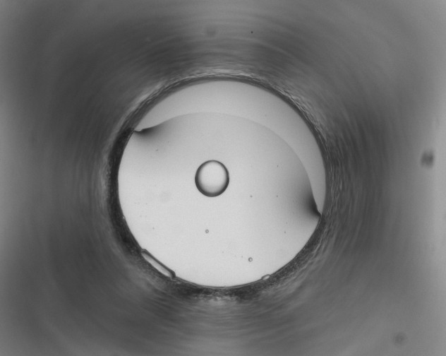 X0000116630304201001081258