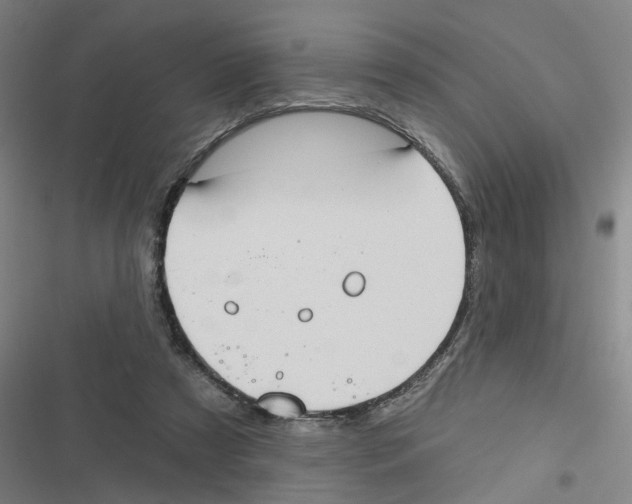 X0000116630305201001081258