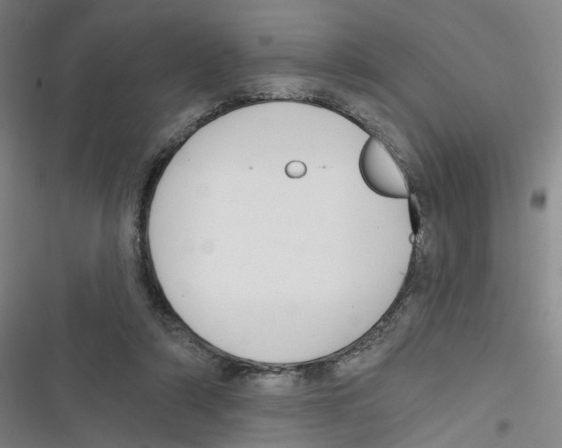 X0000116630306201001081258