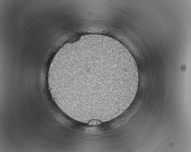 X0000116630309201001081258