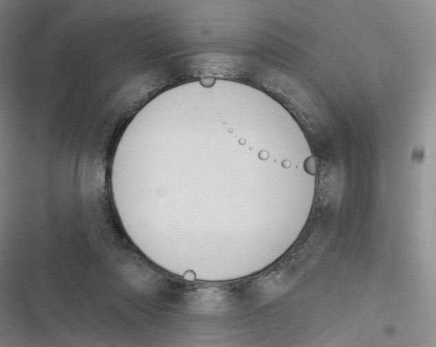 X0000116630310201001081258